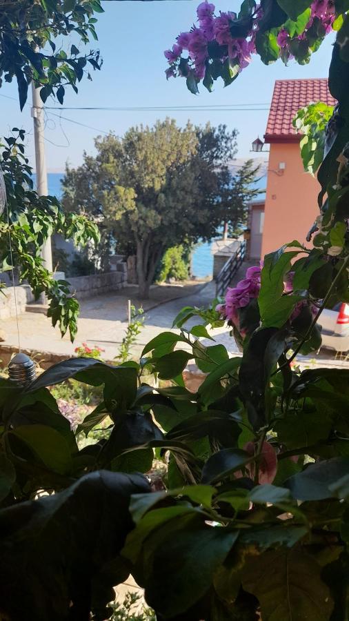 Apartmani Ivankovic Karlobag Rum bild